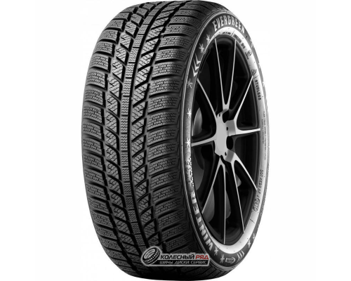 Evergreen EW62 205/65 R16 95H