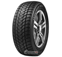 Delinte Winter WD1 205/65 R16 95T