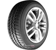 RoadX RXFrost WH01 185/65 R14 86T